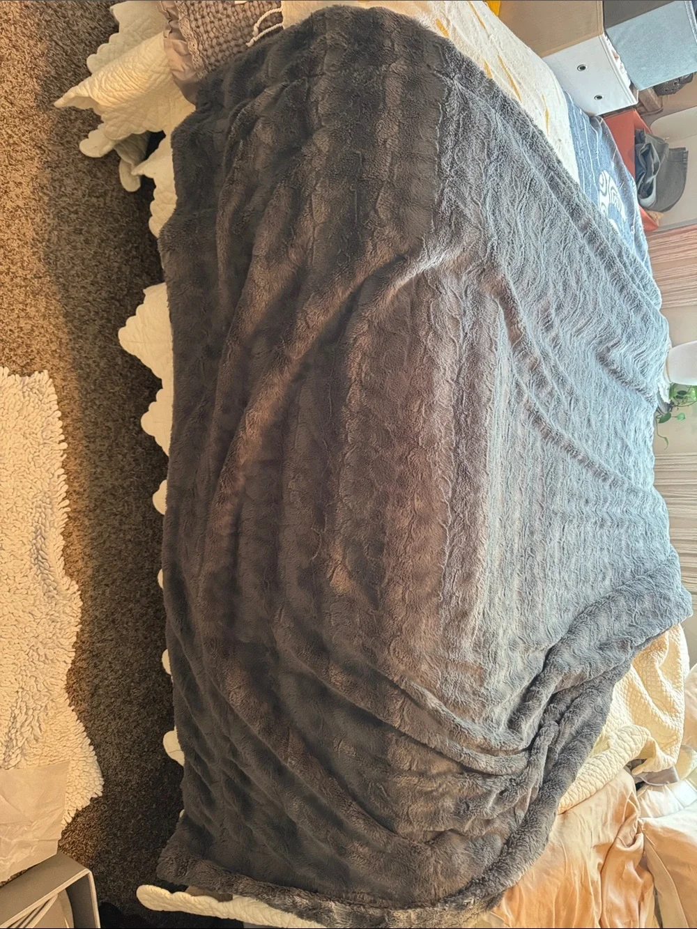 WOLF doublesoft oversized